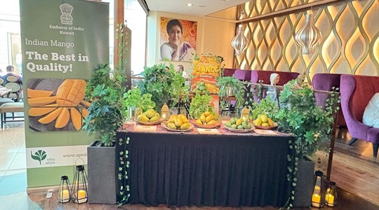 Indian Embassy in Kuwait Launches Mango & Agro Product Promotion
